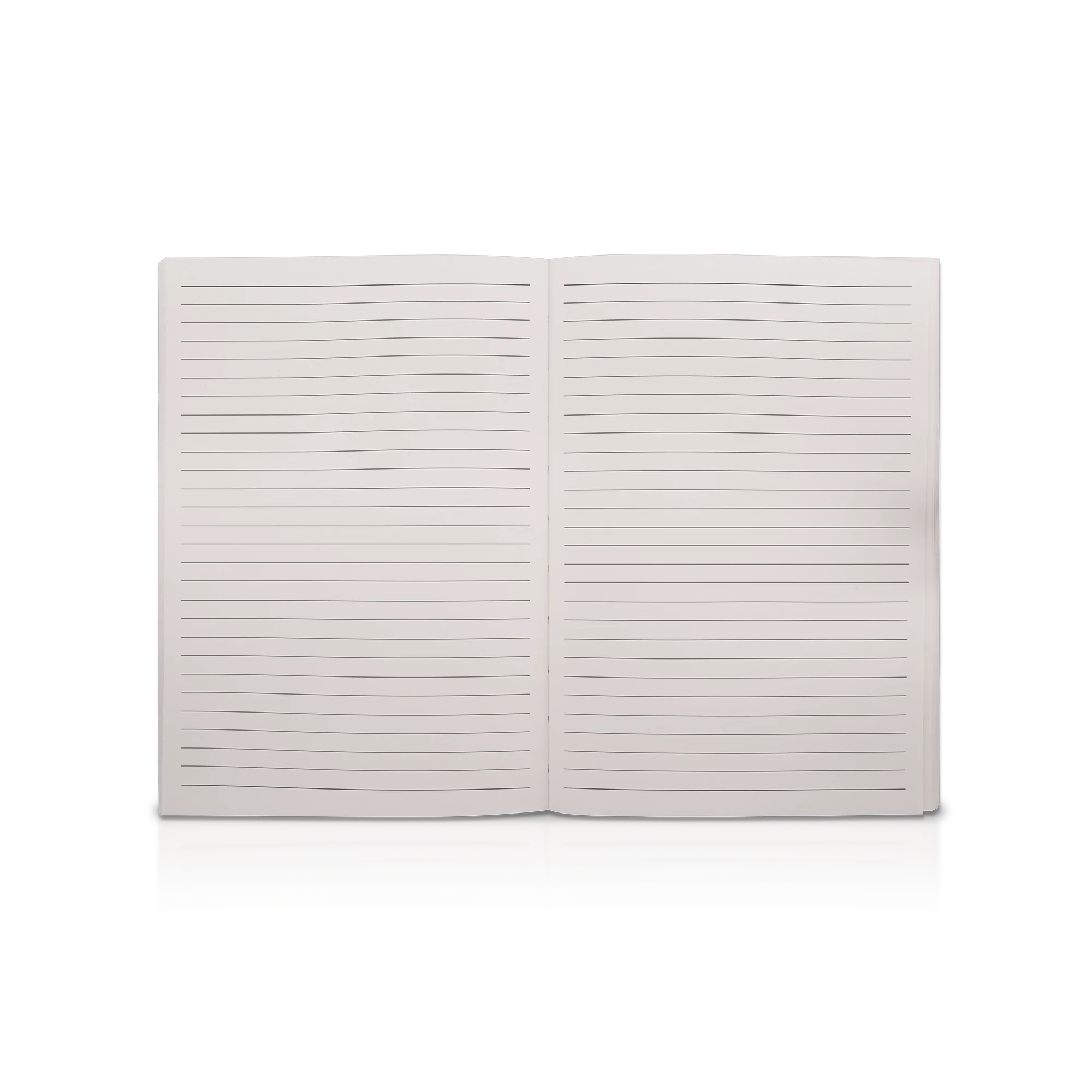 Journal Insert - Image 2